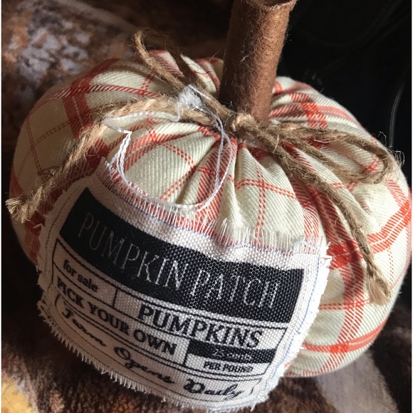 Fall plush pumpkin - Picture 1 of 3